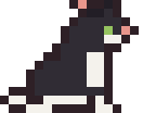 Tuxedo cat pixel-art sprite